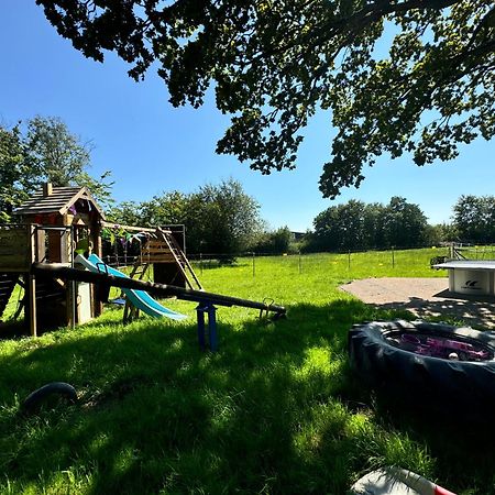 Hof Vierzehnender Im Hohen Venn - 70Qm Fachwerk-Studio - Grosses Wohn-Schlafzimmer Mit Dachterrasse Und Kaminofen - Separate Kueche - Perfekt Fuer Paare - Monschau - Eifel - Hunde Willkommen - Islandpferde Esterno foto