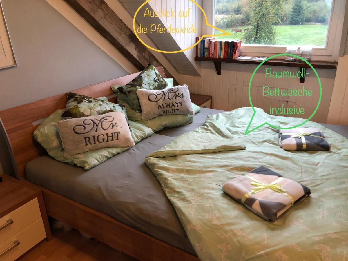 Hof Vierzehnender Im Hohen Venn - 70Qm Fachwerk-Studio - Grosses Wohn-Schlafzimmer Mit Dachterrasse Und Kaminofen - Separate Kueche - Perfekt Fuer Paare - Monschau - Eifel - Hunde Willkommen - Islandpferde Esterno foto