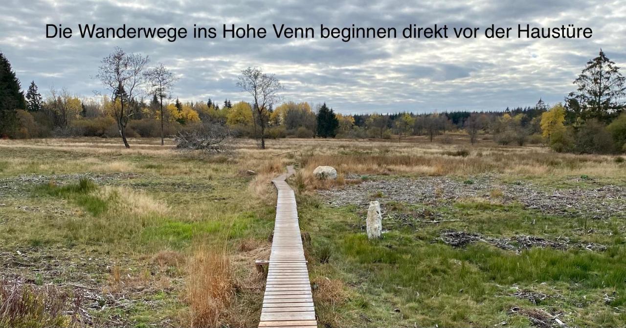 Hof Vierzehnender Im Hohen Venn - 70Qm Fachwerk-Studio - Grosses Wohn-Schlafzimmer Mit Dachterrasse Und Kaminofen - Separate Kueche - Perfekt Fuer Paare - Monschau - Eifel - Hunde Willkommen - Islandpferde Esterno foto