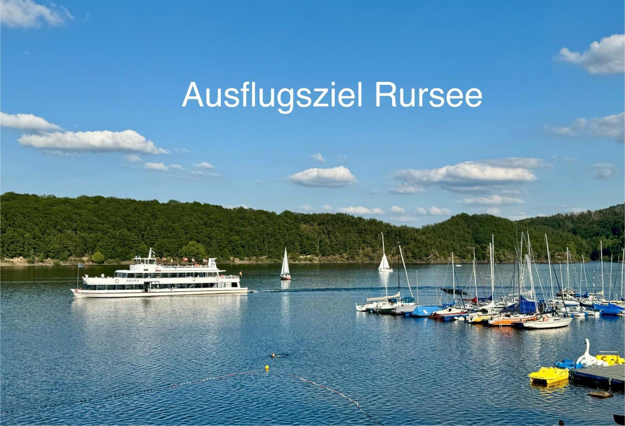 Hof Vierzehnender Im Hohen Venn - 70Qm Fachwerk-Studio - Grosses Wohn-Schlafzimmer Mit Dachterrasse Und Kaminofen - Separate Kueche - Perfekt Fuer Paare - Monschau - Eifel - Hunde Willkommen - Islandpferde Esterno foto