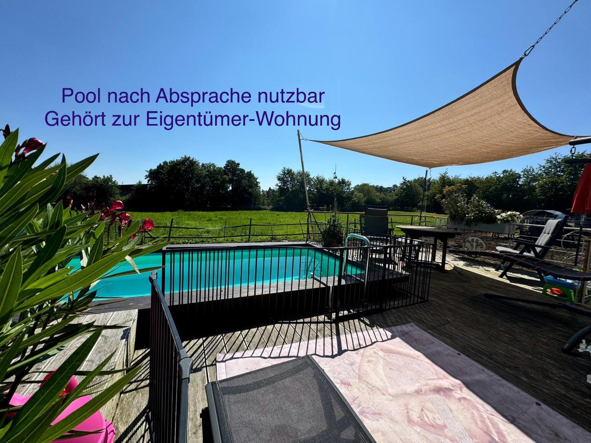Hof Vierzehnender Im Hohen Venn - 70Qm Fachwerk-Studio - Grosses Wohn-Schlafzimmer Mit Dachterrasse Und Kaminofen - Separate Kueche - Perfekt Fuer Paare - Monschau - Eifel - Hunde Willkommen - Islandpferde Esterno foto