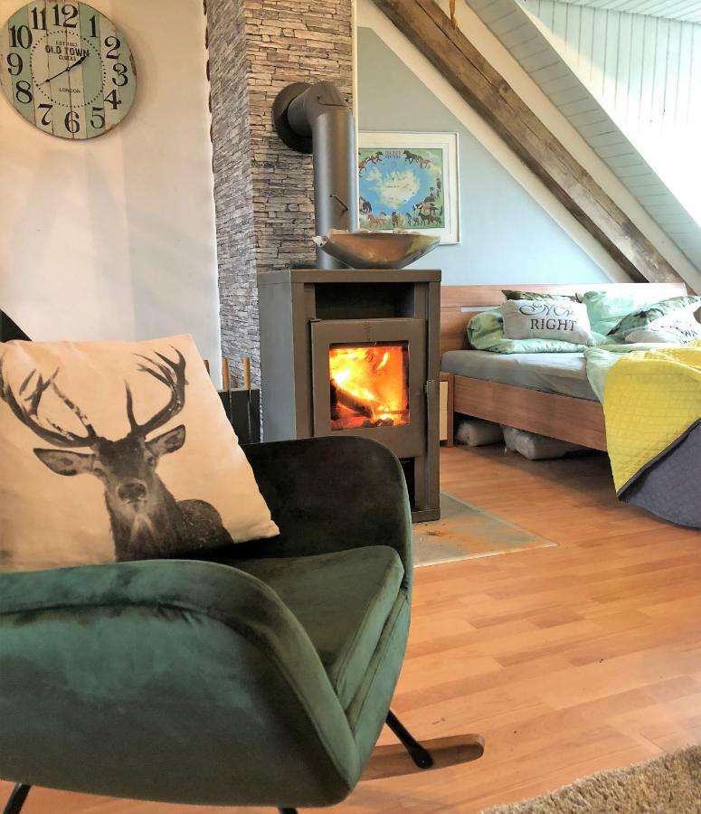 Hof Vierzehnender Im Hohen Venn - 70Qm Fachwerk-Studio - Grosses Wohn-Schlafzimmer Mit Dachterrasse Und Kaminofen - Separate Kueche - Perfekt Fuer Paare - Monschau - Eifel - Hunde Willkommen - Islandpferde Esterno foto