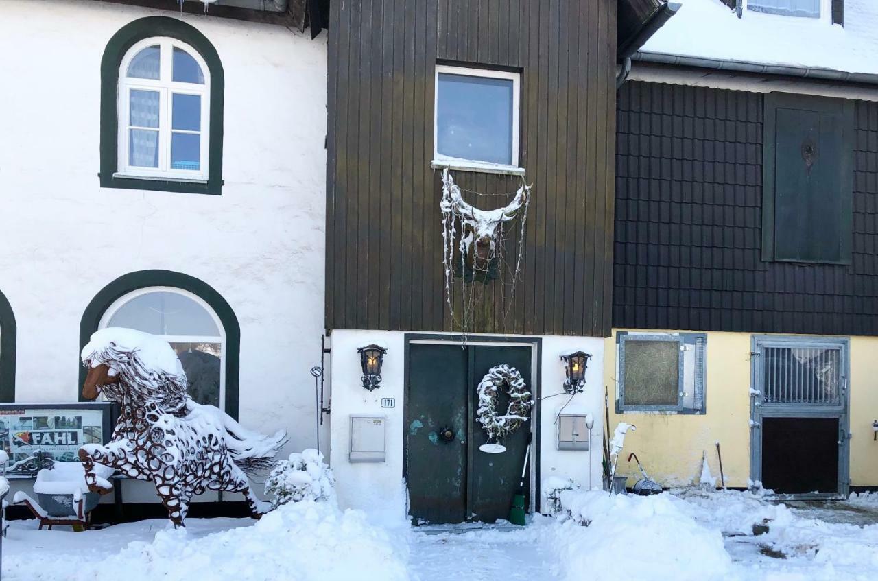 Hof Vierzehnender Im Hohen Venn - 70Qm Fachwerk-Studio - Grosses Wohn-Schlafzimmer Mit Dachterrasse Und Kaminofen - Separate Kueche - Perfekt Fuer Paare - Monschau - Eifel - Hunde Willkommen - Islandpferde Esterno foto
