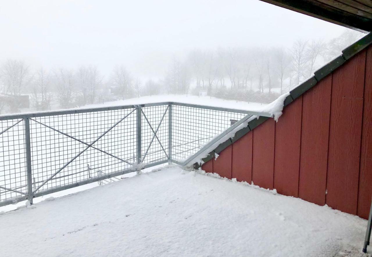 Hof Vierzehnender Im Hohen Venn - 70Qm Fachwerk-Studio - Grosses Wohn-Schlafzimmer Mit Dachterrasse Und Kaminofen - Separate Kueche - Perfekt Fuer Paare - Monschau - Eifel - Hunde Willkommen - Islandpferde Esterno foto